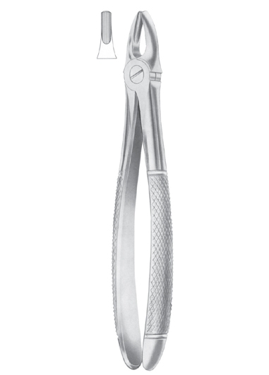 Fig.1 Upper Centrals & Canines 